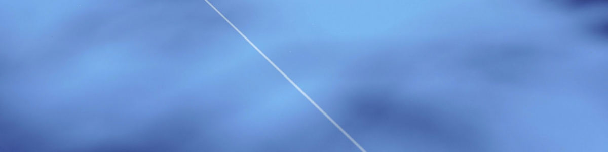 pexels-photo-9005014